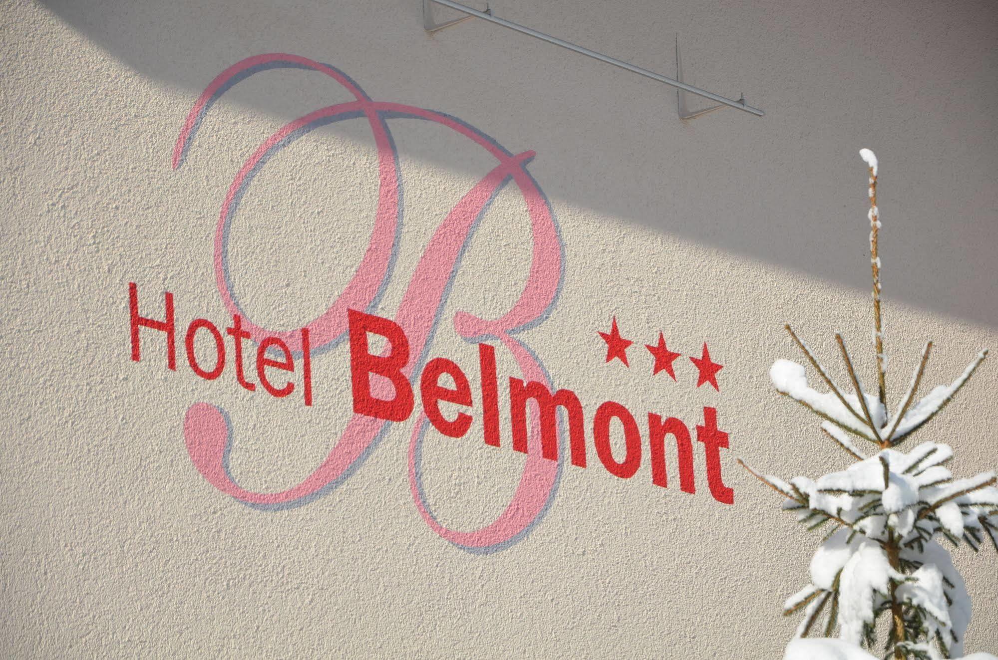 Hotel Belmont Энгельберг Экстерьер фото